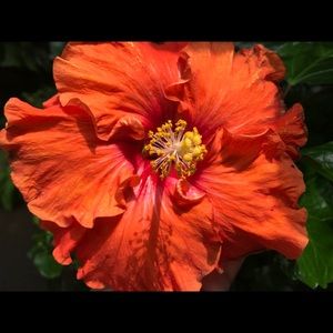 Meet your Posher, Lucinda